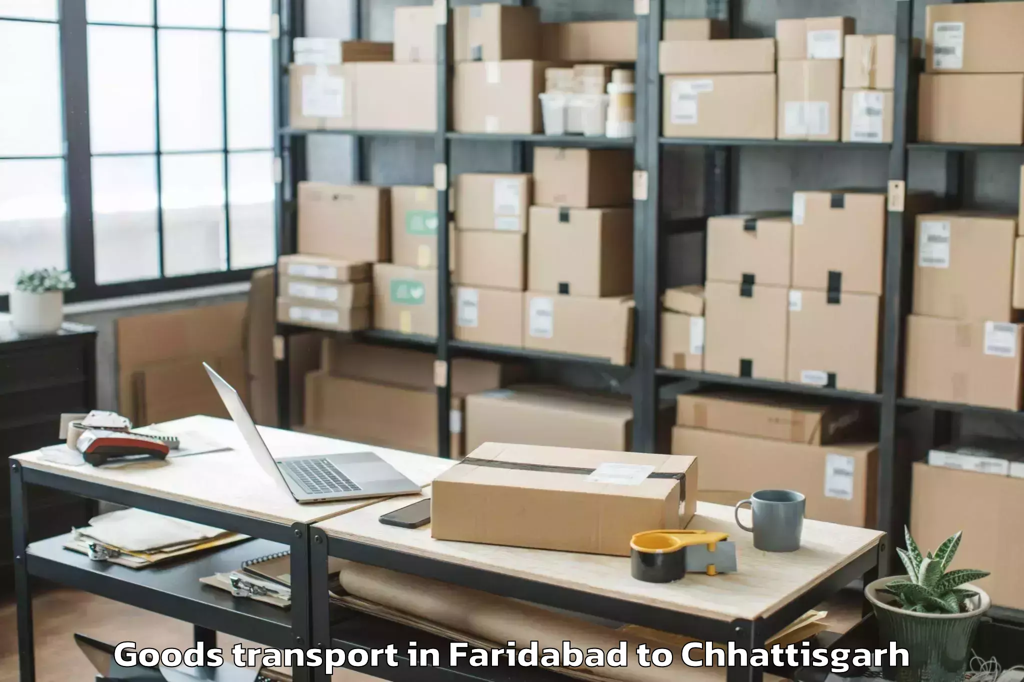 Book Faridabad to Raipur Airport Rpr Goods Transport Online